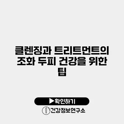 클렌징과 트리트먼트의 조화 두피 건강을 위한 팁