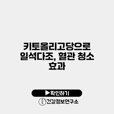 키토올리고당으로 일석다조, 혈관 청소 효과