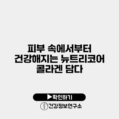 피부 속에서부터 건강해지는 뉴트리코어 콜라겐 담다