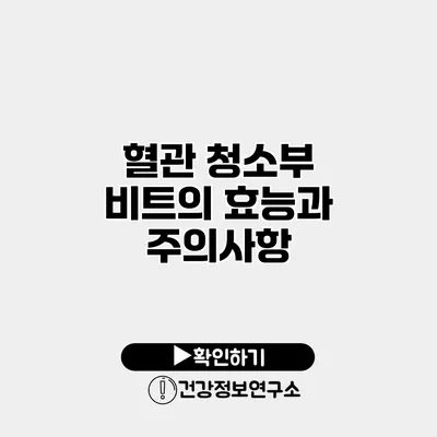 혈관 청소부 비트의 효능과 주의사항