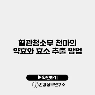 혈관청소부 천마의 약효와 효소 추출 방법
