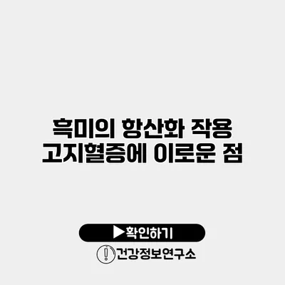 흑미의 항산화 작용 고지혈증에 이로운 점