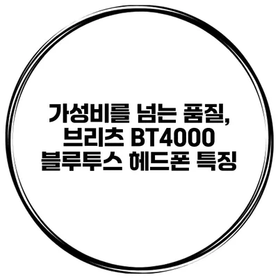 가성비를 넘는 품질, 브리츠 BT4000 블루투스 헤드폰 특징