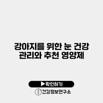 강아지를 위한 눈 건강 관리와 추천 영양제