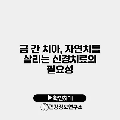 금 간 치아, 자연치를 살리는 신경치료의 필요성