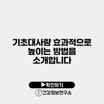 기초대사량 효과적으로 높이는 방법을 소개합니다