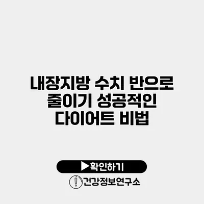 내장지방 수치 반으로 줄이기 성공적인 다이어트 비법