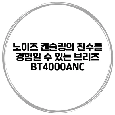 노이즈 캔슬링의 진수를 경험할 수 있는 브리츠 BT4000ANC
