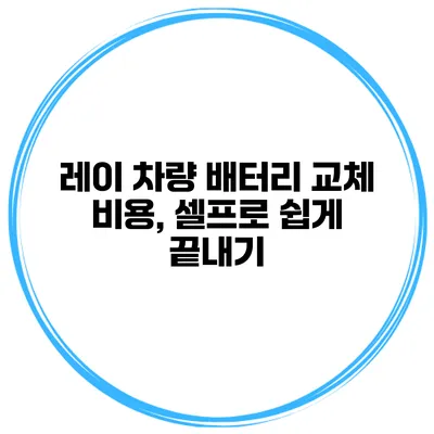 레이 차량 배터리 교체 비용, 셀프로 쉽게 끝내기