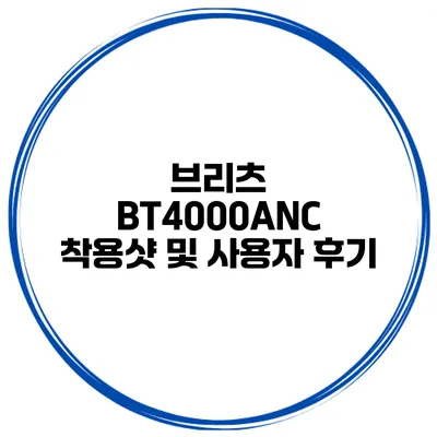 브리츠 BT4000ANC 착용샷 및 사용자 후기