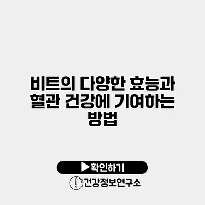 비트의 다양한 효능과 혈관 건강에 기여하는 방법