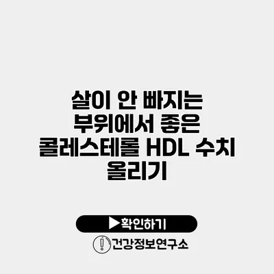 살이 안 빠지는 부위에서 좋은 콜레스테롤 HDL 수치 올리기