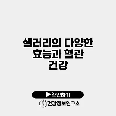 샐러리의 다양한 효능과 혈관 건강