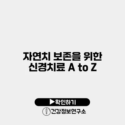 자연치 보존을 위한 신경치료 A to Z