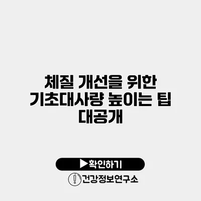 체질 개선을 위한 기초대사량 높이는 팁 대공개