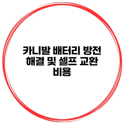 카니발 배터리 방전 해결 및 셀프 교환 비용
