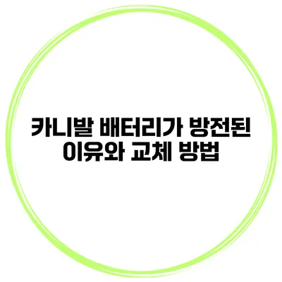 카니발 배터리가 방전된 이유와 교체 방법