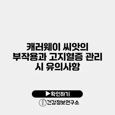 캐러웨이 씨앗의 부작용과 고지혈증 관리 시 유의사항