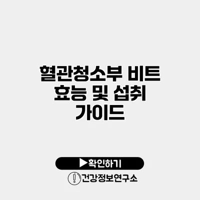 혈관청소부 비트 효능 및 섭취 가이드