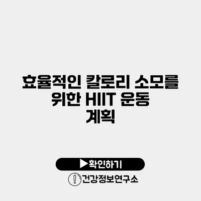 효율적인 칼로리 소모를 위한 HIIT 운동 계획